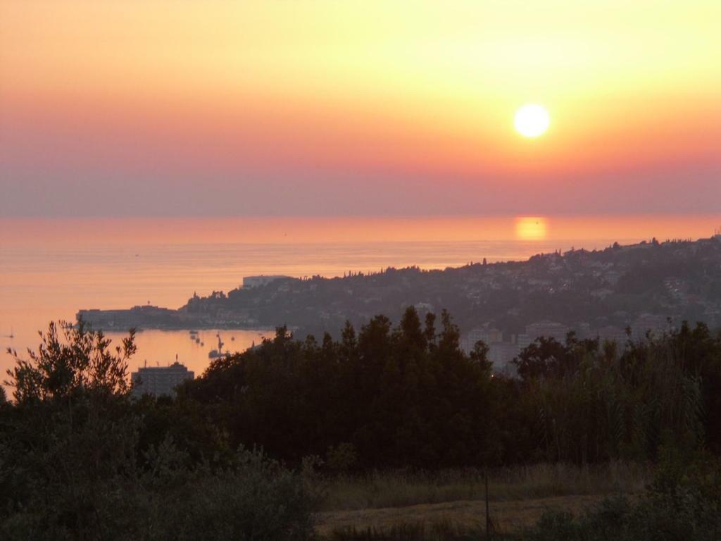 Apartment Perfect Sea View Lucija Dış mekan fotoğraf
